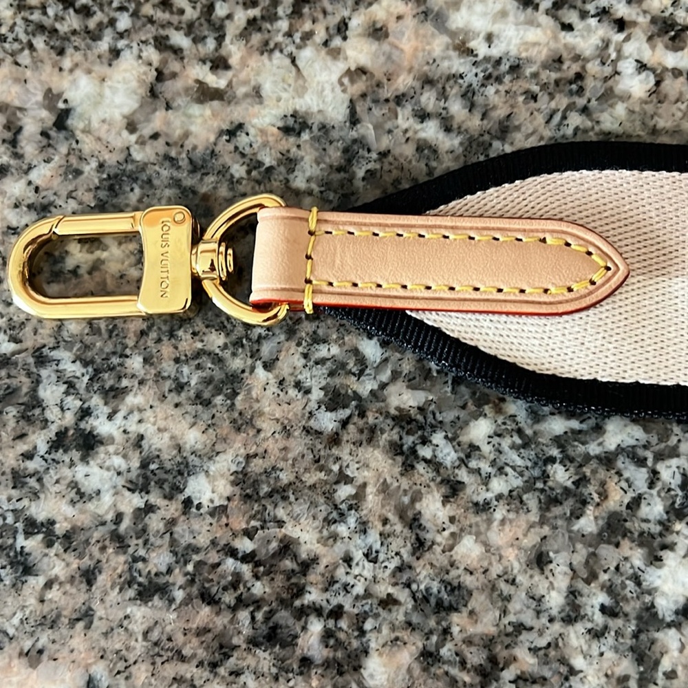 Louis Vuitton Bandouliere Speedy 20 Jacquard Shouder Strap - Picture 9 of 15